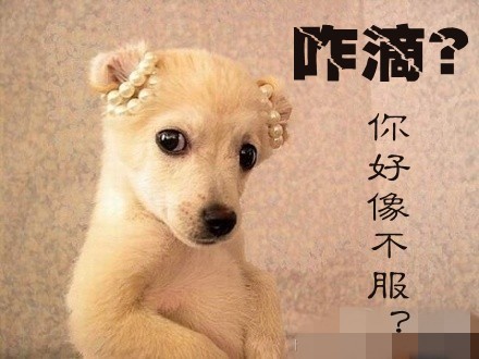 不服单挑啊.jpg